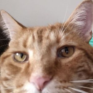 Meet your Posher, Kris